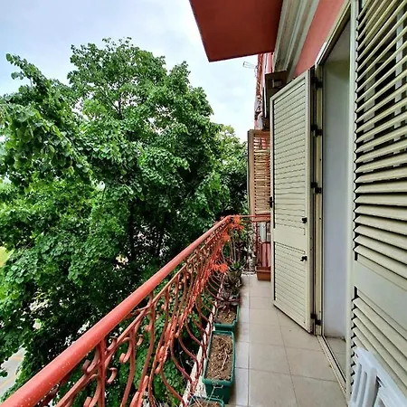 Homestay Grand House